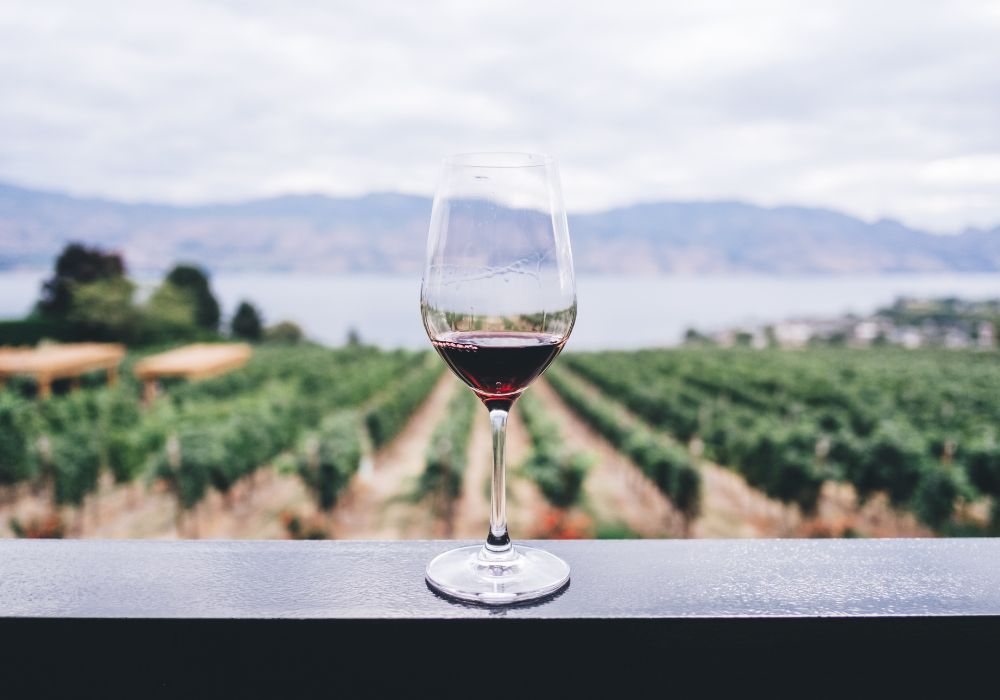 Degustazioni di vino sulla Costa Azzurra: esplora i terroir della Provenza