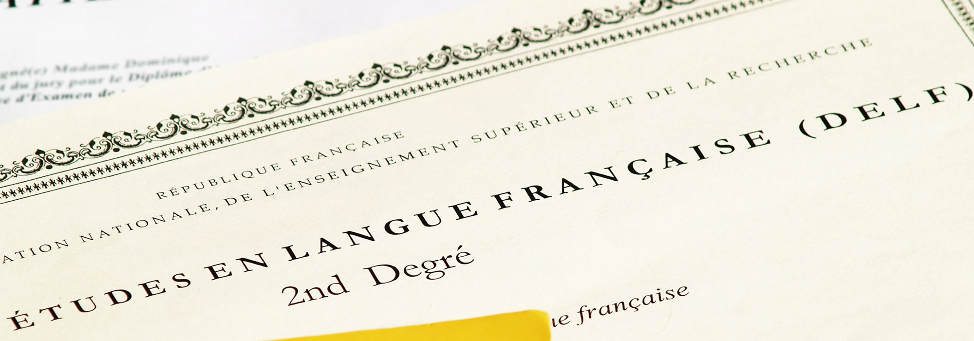 Perché sostenere l’esame D.E.L.F.?